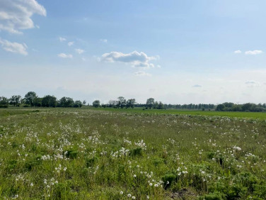 Działka nad jeziorem