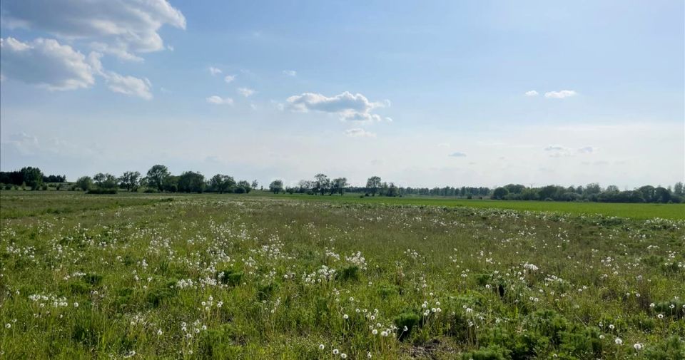 Działka nad jeziorem