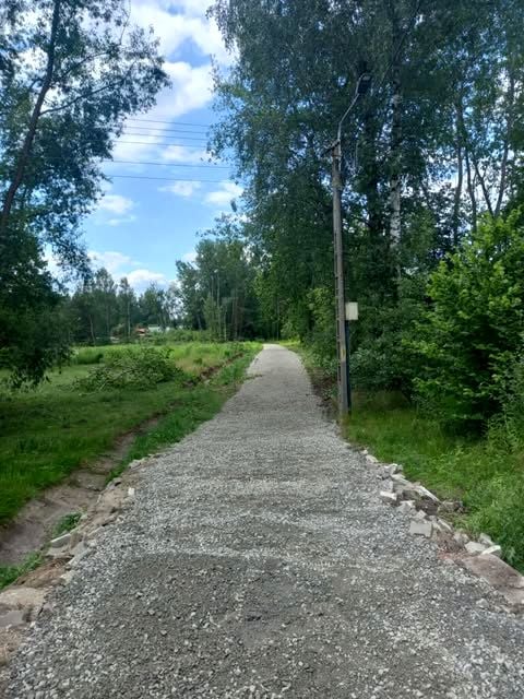 Zdjęcie 2