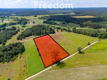 Działka Stara Korytnica