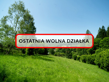 Działka Orłowiec