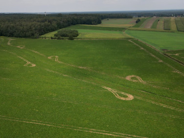 Działka Zbrosławice