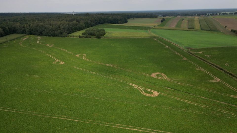 Działka Zbrosławice