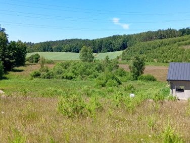 Działka Donimierz