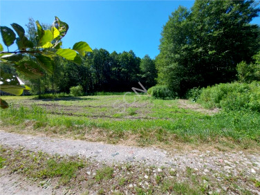 Działka budowlana Pęclin sprzedam