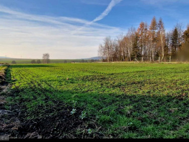 Działka budowlana Brzezinka