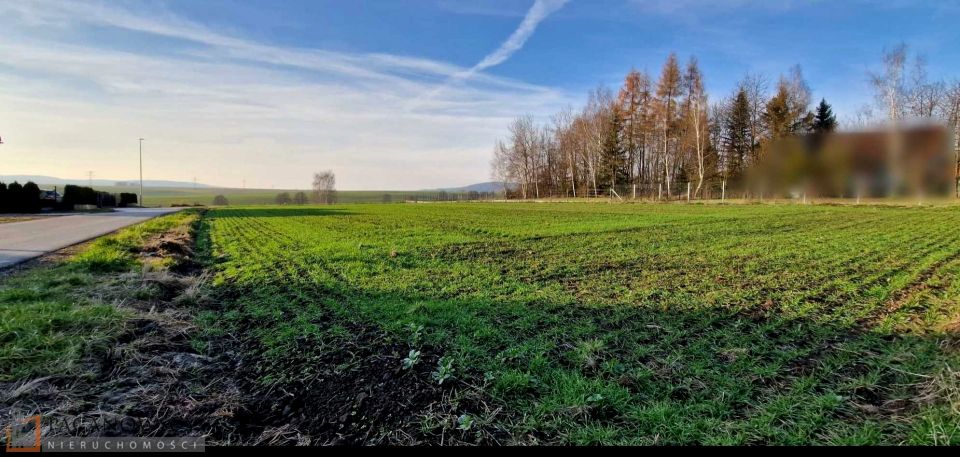 Działka budowlana Brzezinka