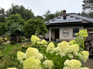 Dom Zieleniewo
