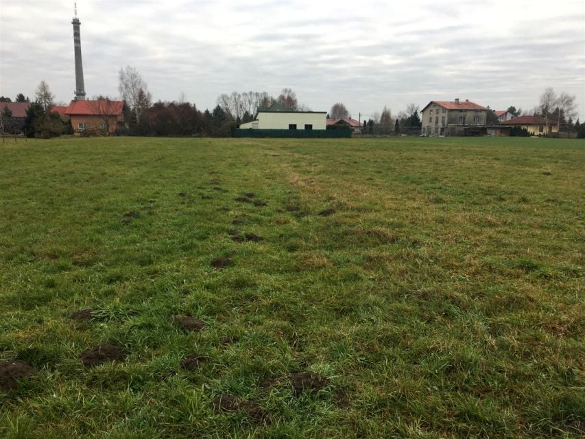 Działka budowlana Petrykozy