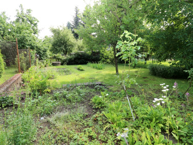 Mieszkanie Szczawno-Zdrój