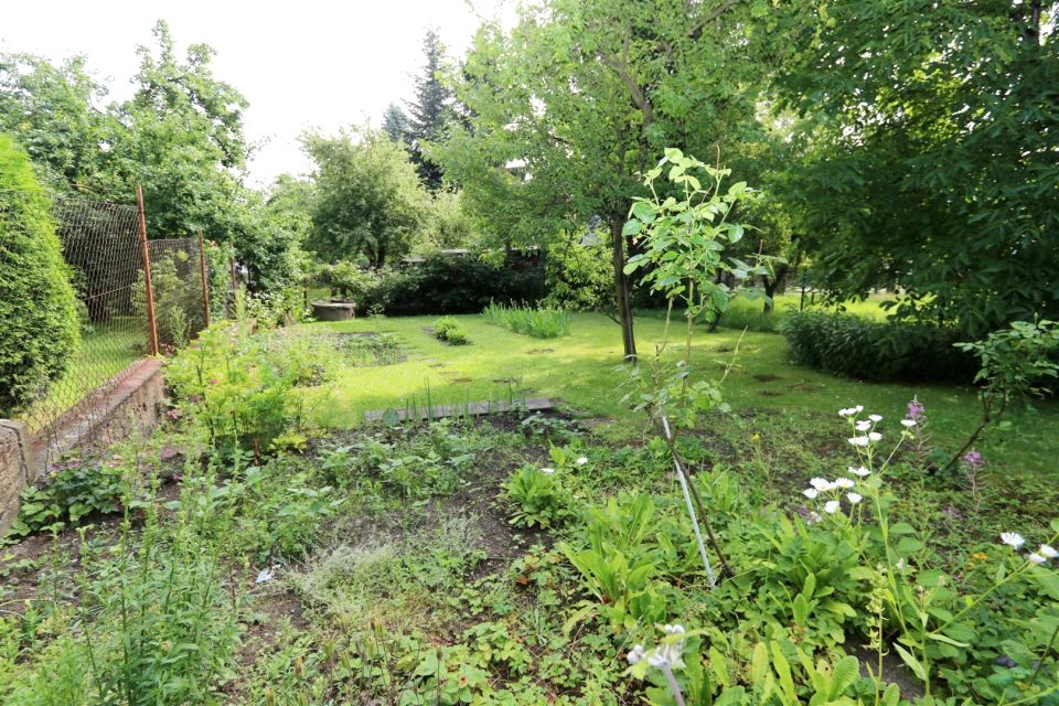 Mieszkanie Szczawno-Zdrój