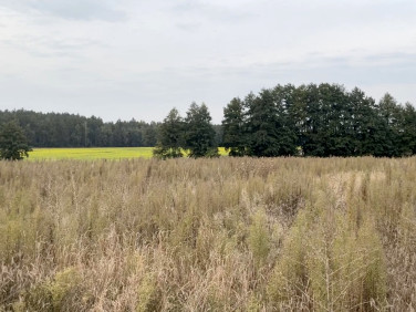Działka budowlana Mosina