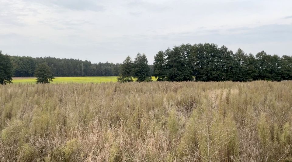 Działka budowlana Mosina