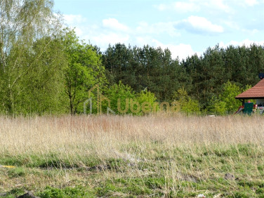 Działka Szczecin