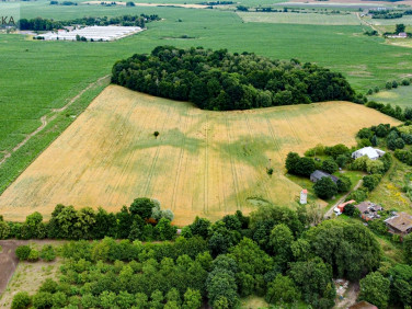 Dom wolnostojący sprzedaż