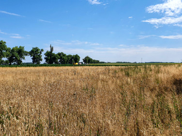 Działka Łagiewniki