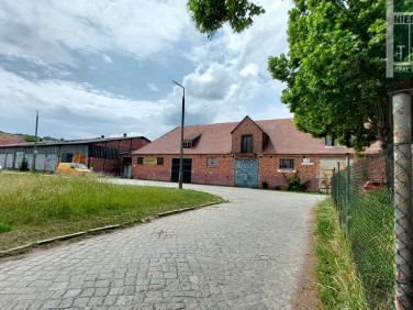 Działka inwestycyjna Krosno Odrzańskie