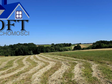 Działka budowlano-rolna Witanowice