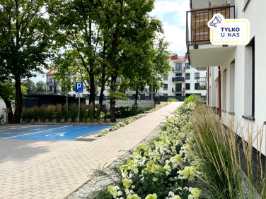 Mieszkanie Legnica