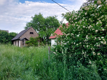 Działka siedliskowa Białogóry