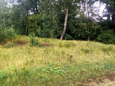 Działka budowlana Brzozowa