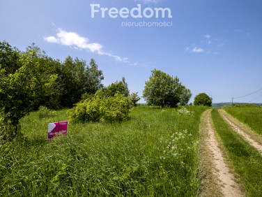 Działka budowlano-rolna Krzywe sprzedam