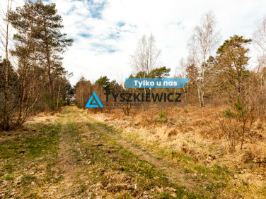Działka leśna Chłapowo