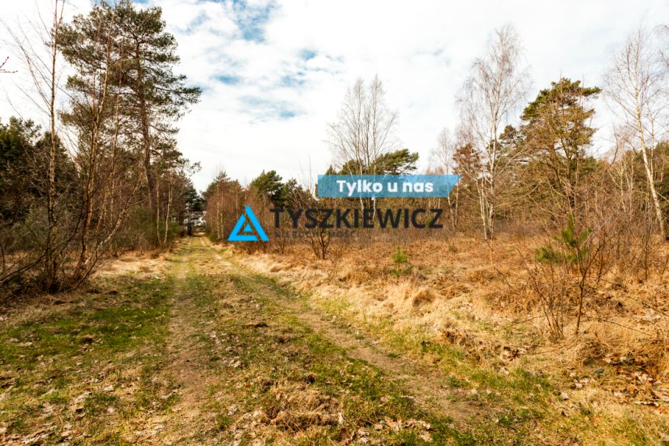 Działka leśna Chłapowo