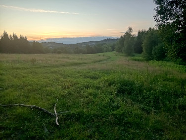 Działka budowlana Budzów