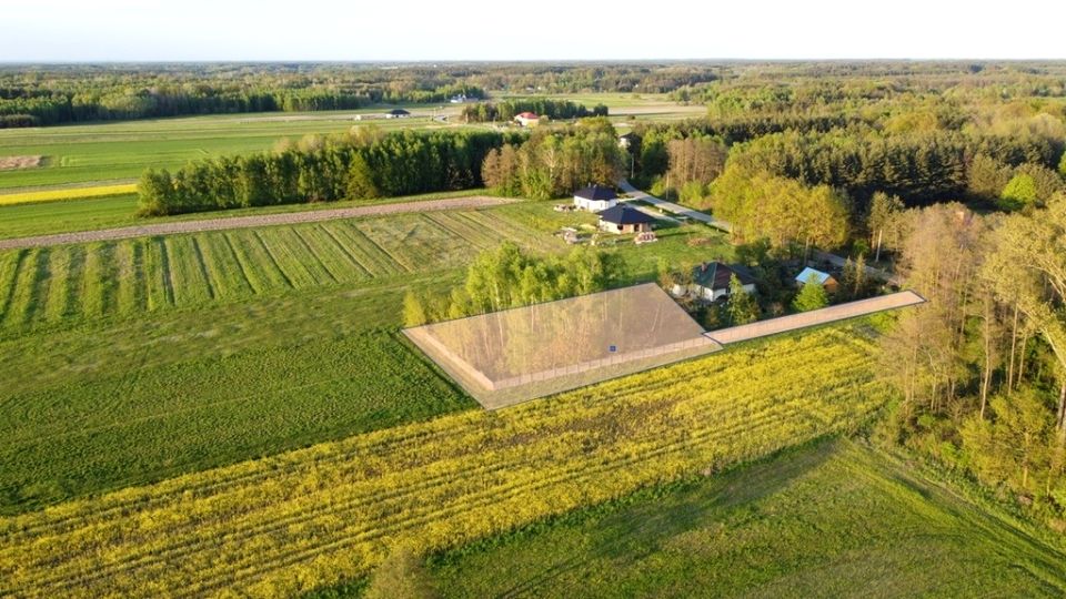 Działka przy lesie