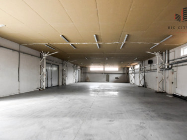 Lokal Lublin wynajem