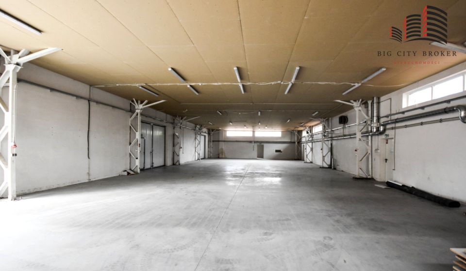 Lokal Lublin wynajem