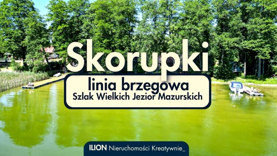 Dom SKORUPKI
