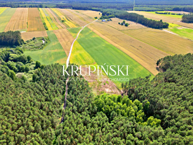 Działka inna Dobrzejewice