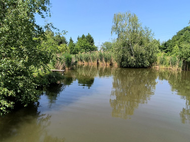 Działka budowlana Oborniki Śląskie