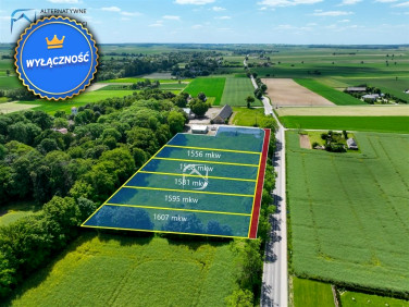 Działka usługowa Kozice Dolne-Kolonia