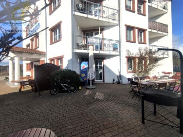 Mieszkanie Grzybowo