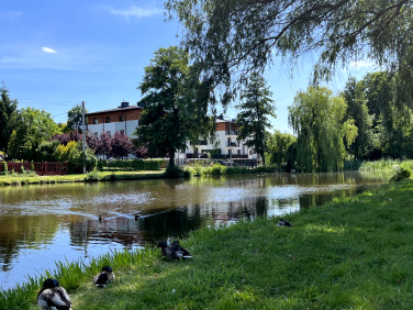 Mieszkanie Bydgoszcz