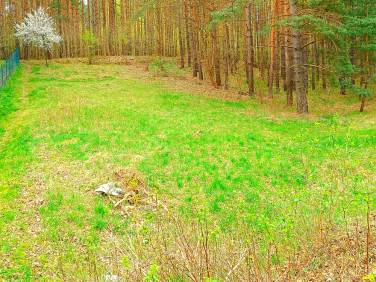 Działka Pluski