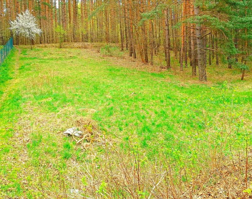 Działka Pluski
