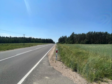 Działka budowlana Knyszyn