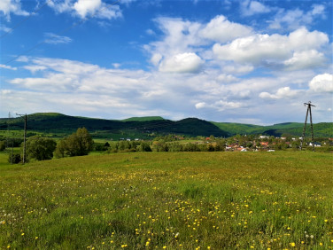 Działka budowlano-rolna Trepcza