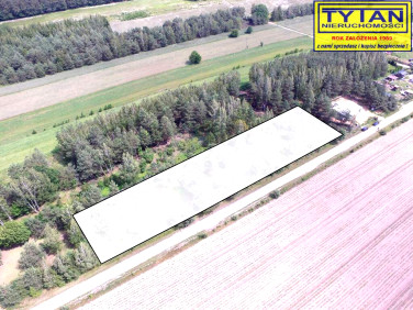 Działka Nowy Cydzyn