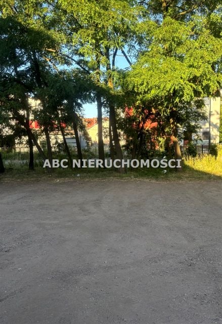 Zdjęcie 3