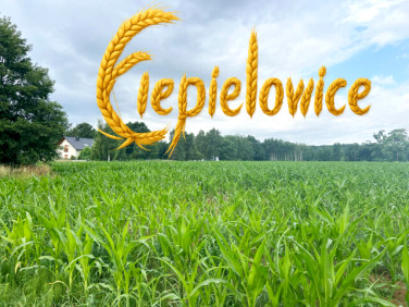 Działka budowlana Ciepielowice