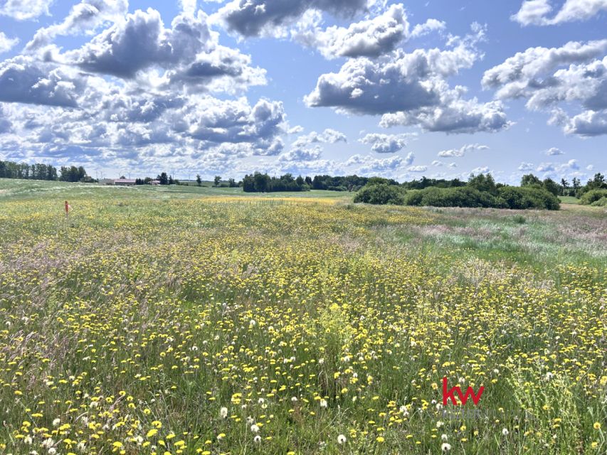Działka Kwidzyn
