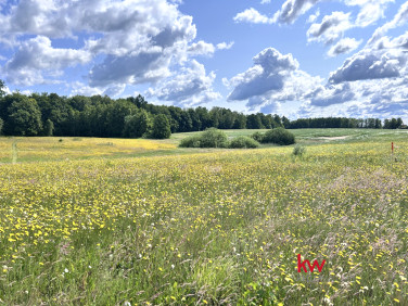 Działka Kwidzyn