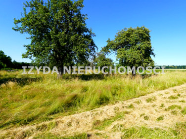 Działka usługowa Mikoszowa