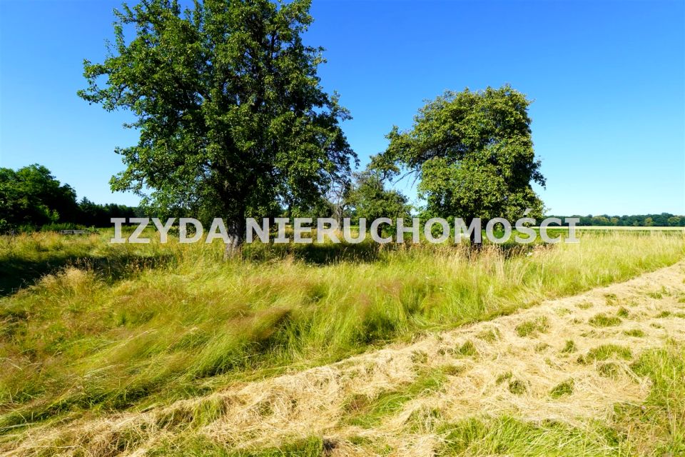 Działka usługowa Mikoszowa