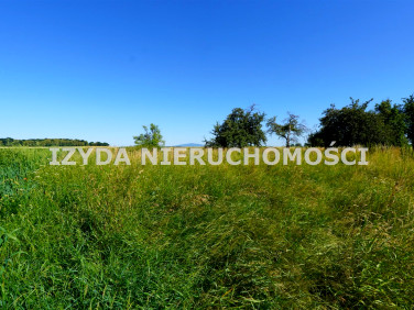 Działka usługowa Mikoszowa